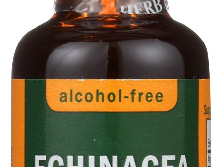 ECHINACEA GLYCERITE HERB PHARM 1 OZ    090900000620 Sale