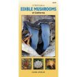 A Field Guide to Edible Mushrooms of California (Folding Pocket Guide) (Daniel Winkler) Supply