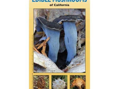 A Field Guide to Edible Mushrooms of California (Folding Pocket Guide) (Daniel Winkler) Supply