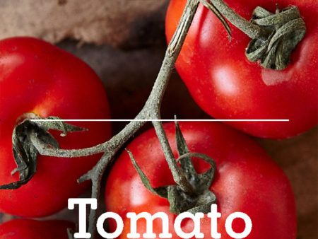 Magazine F Nº 4: Tomato Online