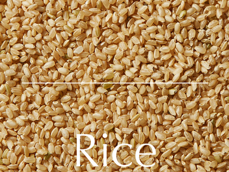 Magazine F Nº 5: Rice Online Hot Sale