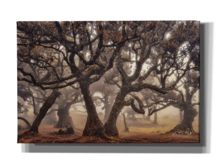 The Hidden Truth  by Martin Podt, Canvas Wall Art For Sale