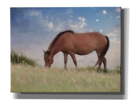 Assataegue Horse  by Lori Deiter, Canvas Wall Art For Sale