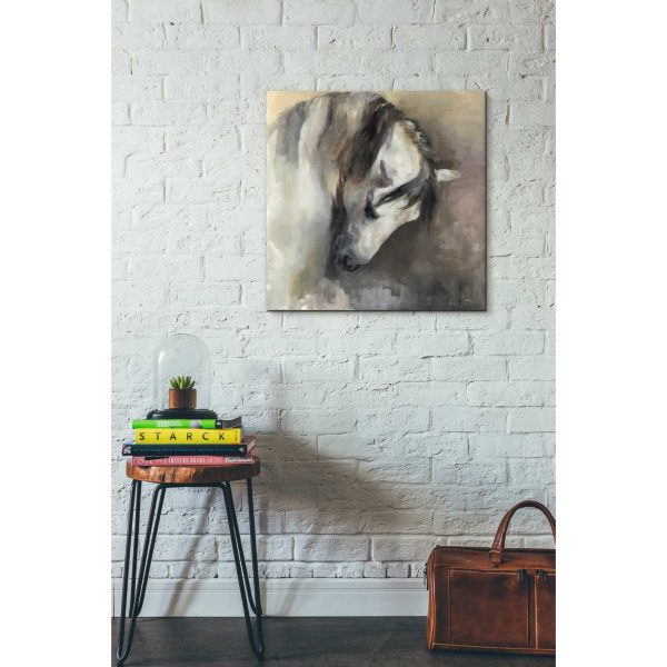 Classical Horse  by Marilyn Hageman, Canvas Wall Art Online