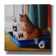 Kitty Throne  by Lucia Heffernan, Canvas Wall Art Hot on Sale