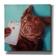 Dog Selfie  by Lucia Heffernan, Canvas Wall Art Supply