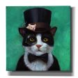 Tuxedo Cat  by Lucia Heffernan, Canvas Wall Art Sale