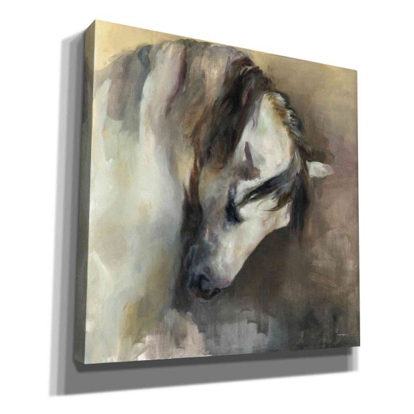 Classical Horse  by Marilyn Hageman, Canvas Wall Art Online