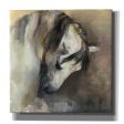 Classical Horse  by Marilyn Hageman, Canvas Wall Art Online