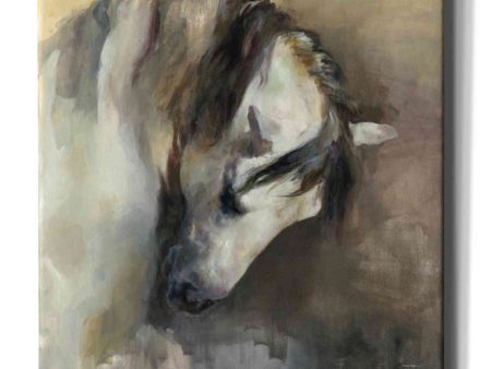 Classical Horse  by Marilyn Hageman, Canvas Wall Art Online