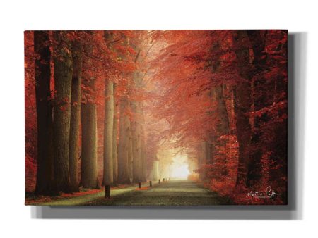 Way to Red  by Martin Podt, Canvas Wall Art For Cheap