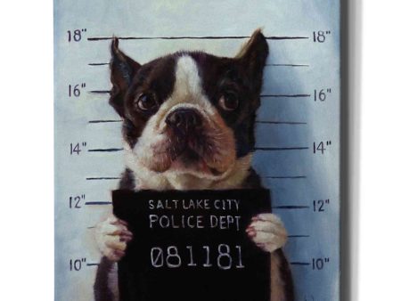 Mug Shot  by Lucia Heffernan, Canvas Wall Art on Sale