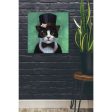 Tuxedo Cat  by Lucia Heffernan, Canvas Wall Art Sale