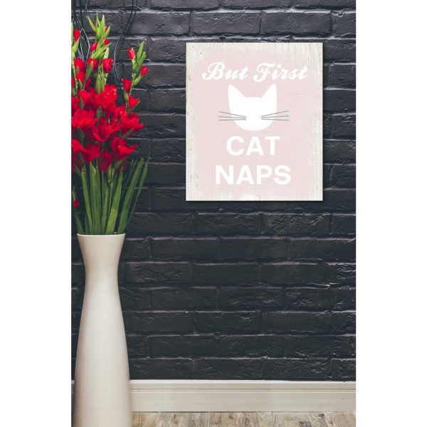 But First Cat Naps  by Linda Woods, Canvas Wall Art Online now