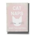 Cat Naps And Tailgating  by Linda Woods, Canvas Wall Art Discount