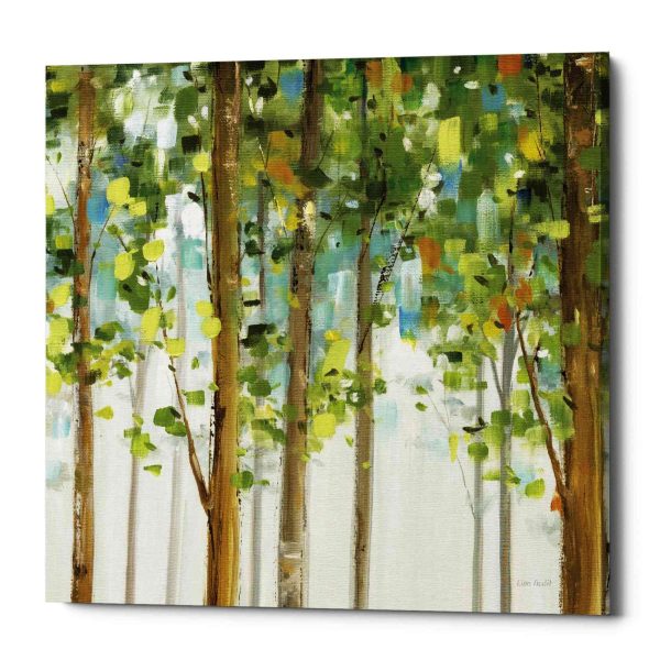 Forest Study  by Lisa Audit, Canvas Wall Art, Online Sale