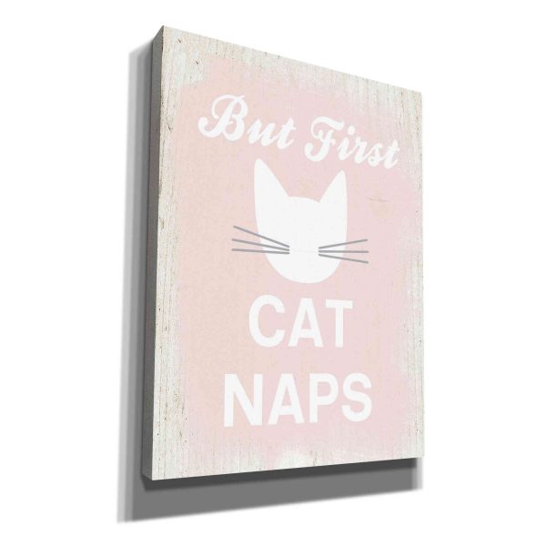 But First Cat Naps  by Linda Woods, Canvas Wall Art Online now