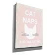 Cat Naps And Tailgating  by Linda Woods, Canvas Wall Art Discount