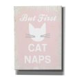 But First Cat Naps  by Linda Woods, Canvas Wall Art Online now