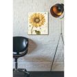 Under The Sun I  by Lisa Audit, Canvas Wall Art, Hot on Sale