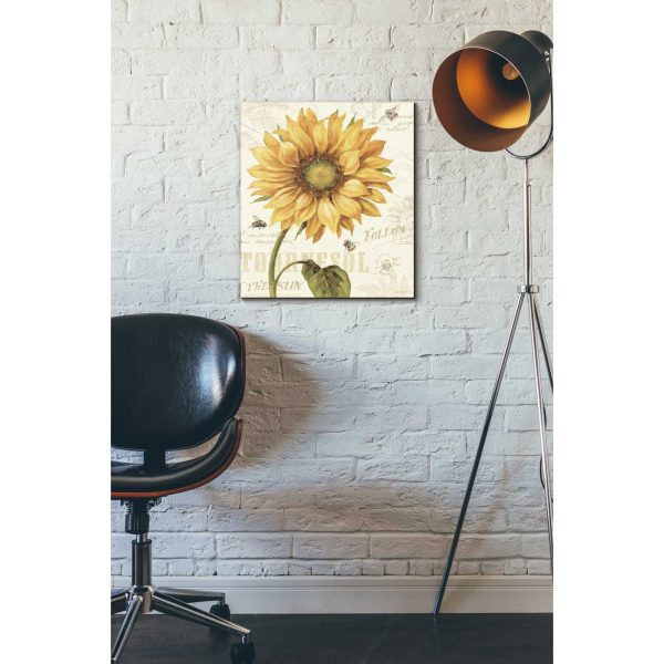 Under The Sun I  by Lisa Audit, Canvas Wall Art, Hot on Sale