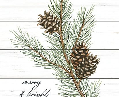 CIN3470 - Merry & Bright Pine Cones - 12x16 Fashion