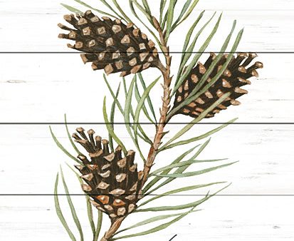 CIN3468 - Happy Holidays Pine Cones - 12x16 Discount