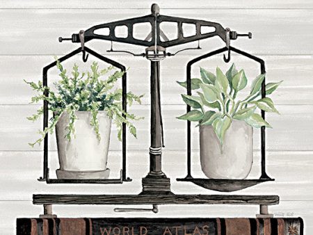 CIN3474 - Balanced Plant Life - 12x12 For Cheap