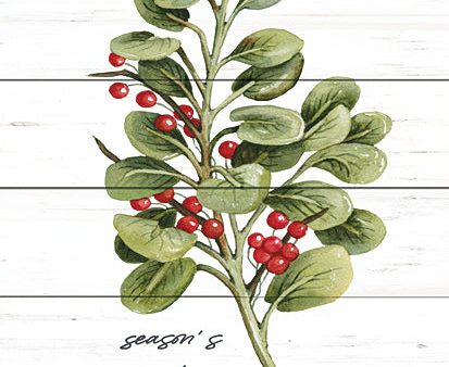 CIN3469 - Season s Greetings Greenery - 12x16 For Cheap