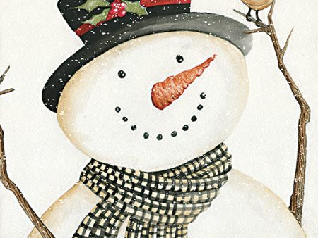 CIN3333 - Mr. Frosty - 12x12 Online